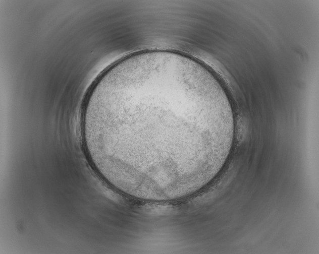 X0000111940886200909071257