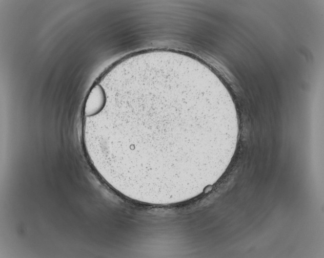 X0000111940888200909071257