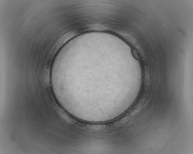 X0000111940889200909071257