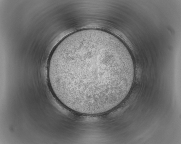 X0000111940890200909071257