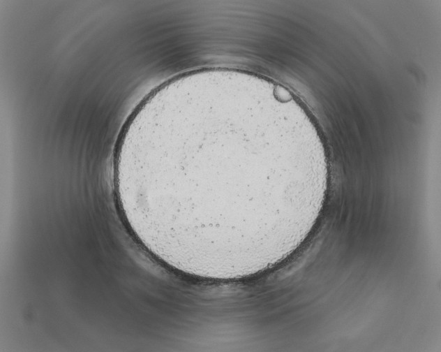 X0000111940891200909071257