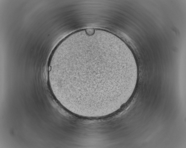 X0000111940892200909071257