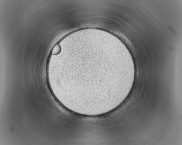X0000111940894200909071257