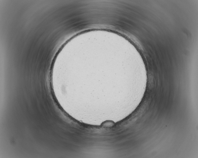 X0000111940895200909071257
