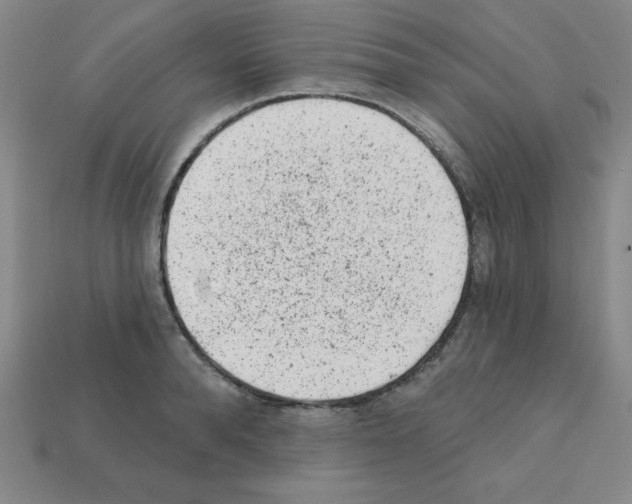 X0000111940896200909071257