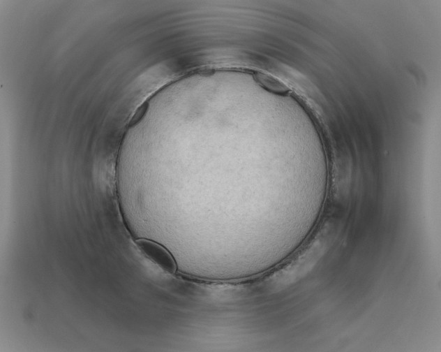 X0000111940897200909071257