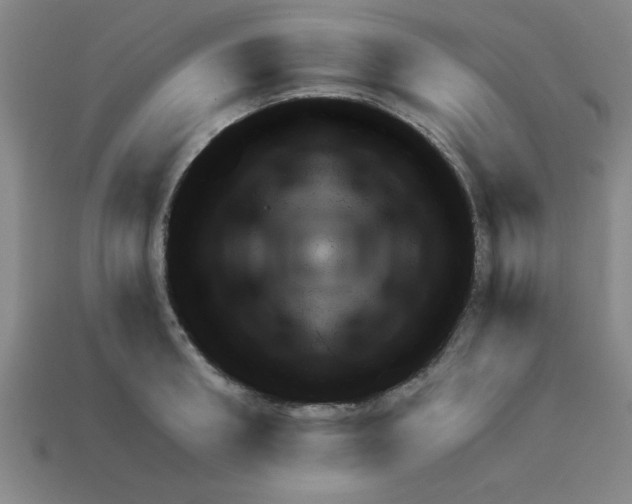 X0000111940898200909071257