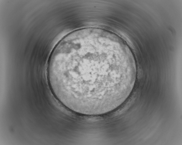 X0000111940899200909071257