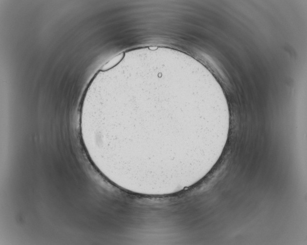 X0000111940900200909071257