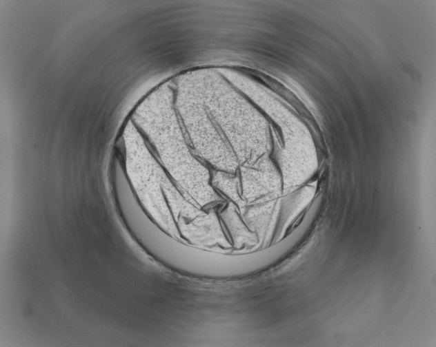 X0000111940901200909071257