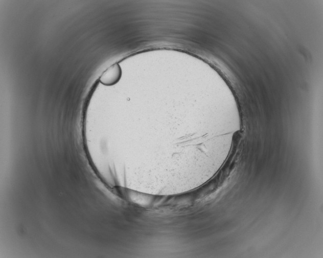 X0000111940902200909071257