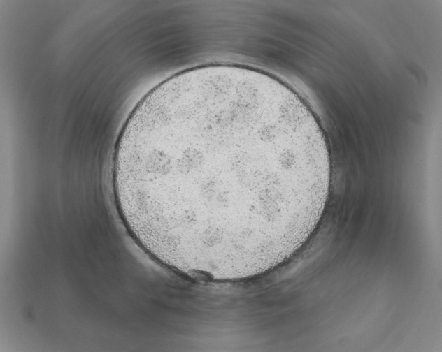 X0000111940903200909071257