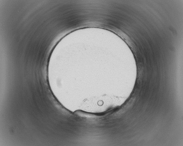 X0000111940904200909071257