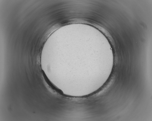 X0000111940905200909071257