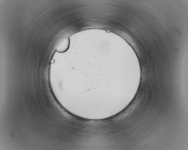 X0000111940906200909071257
