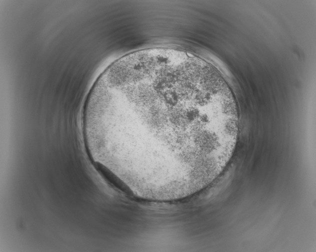 X0000111940907200909071257