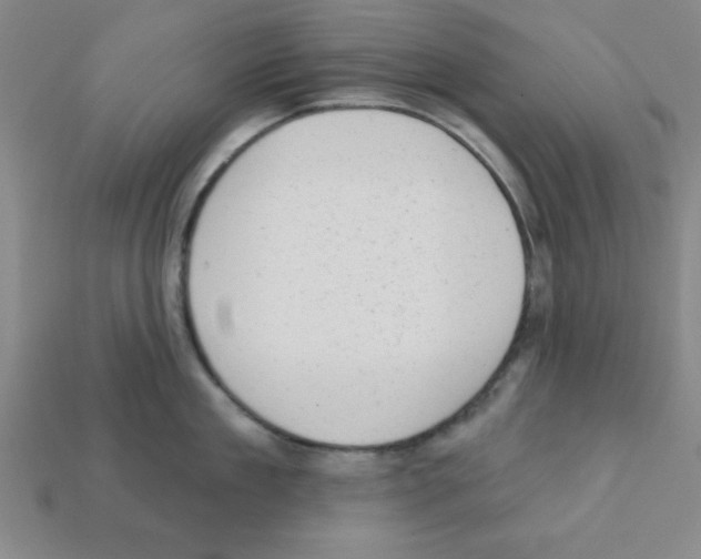 X0000111940909200909071257