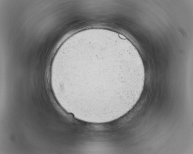 X0000111940911200909071257