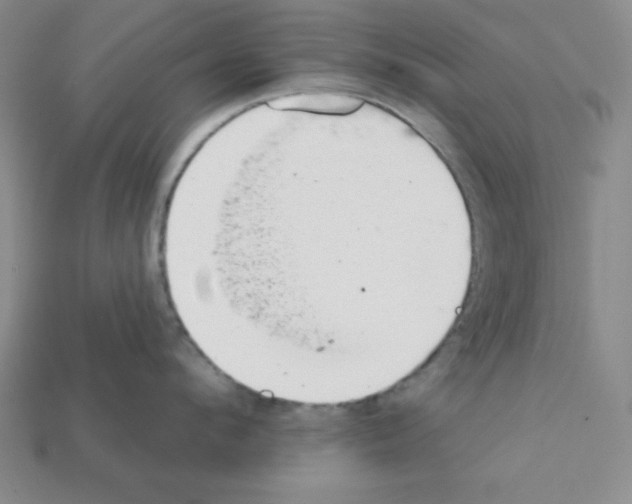 X0000111940912200909071257