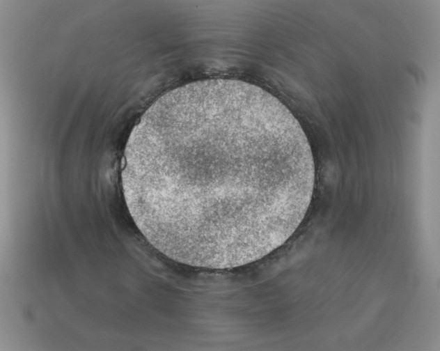 X0000111940914200909071256