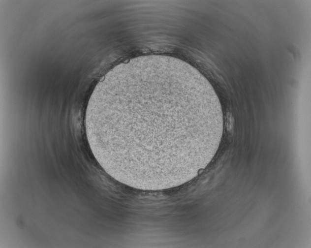 X0000111940915200909071256