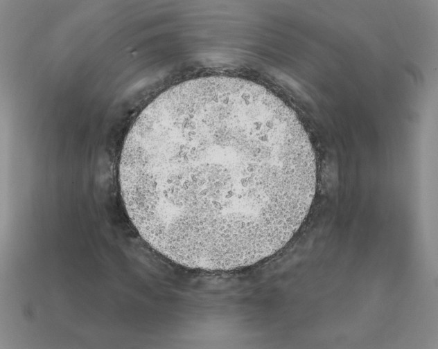 X0000111940917200909071256