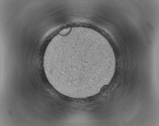 X0000111940919200909071256