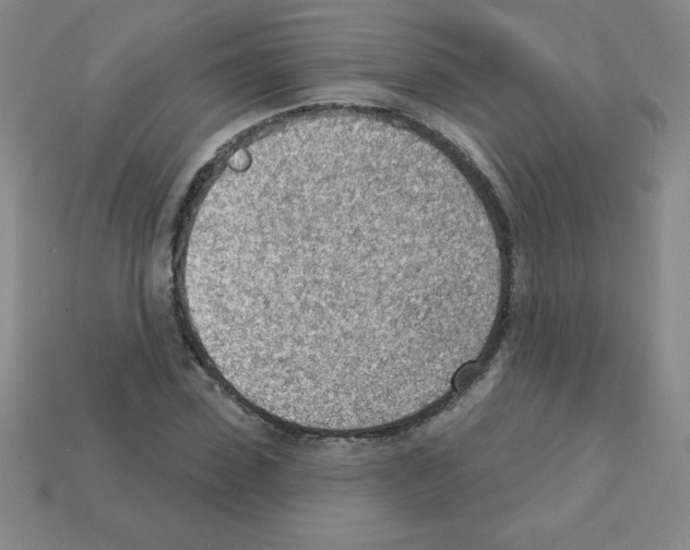 X0000111940923200909071256