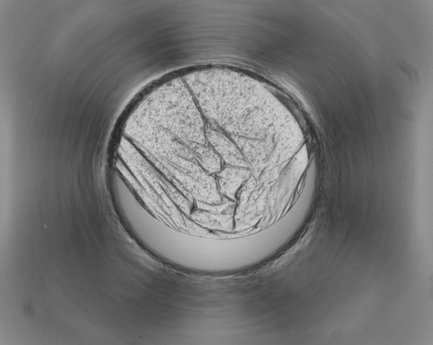 X0000111940924200909071256