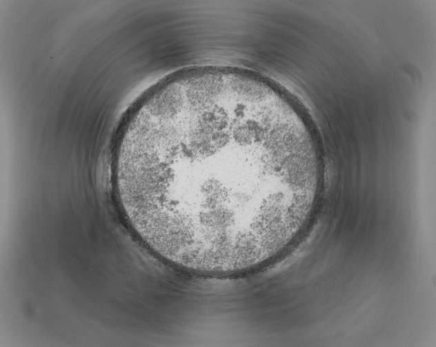 X0000111940925200909071256