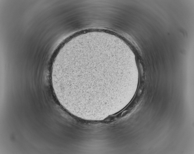 X0000111940926200909071256