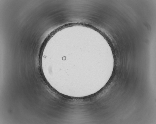 X0000111940927200909071256