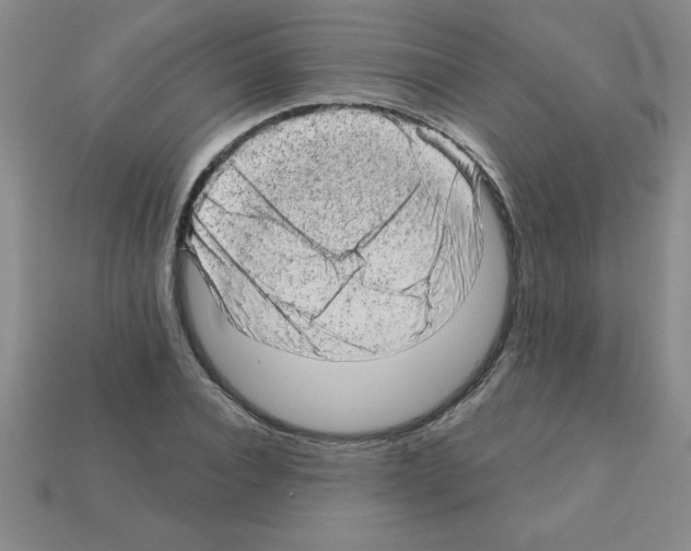 X0000111940928200909071256