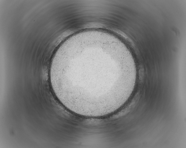 X0000111940929200909071256