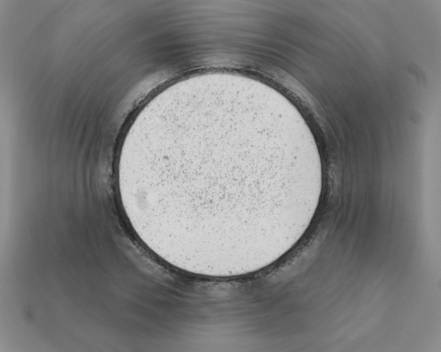 X0000111940930200909071257