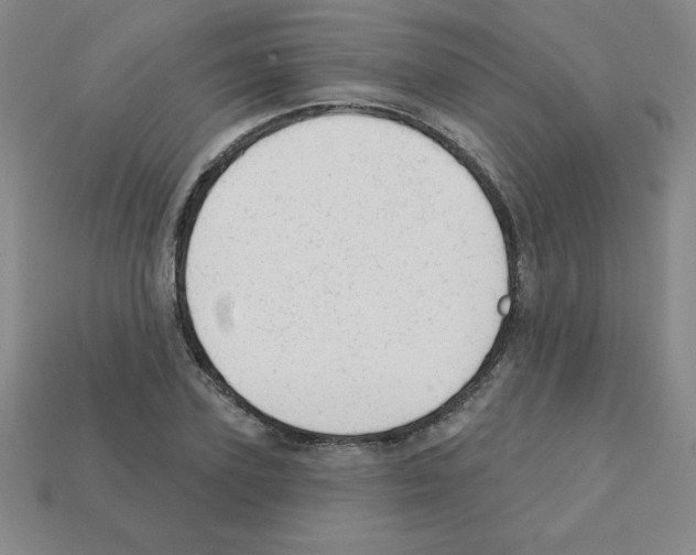 X0000111940931200909071257