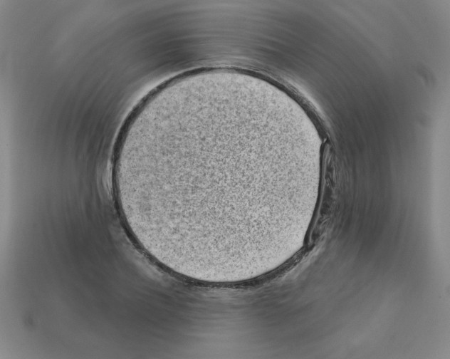 X0000111940932200909071257