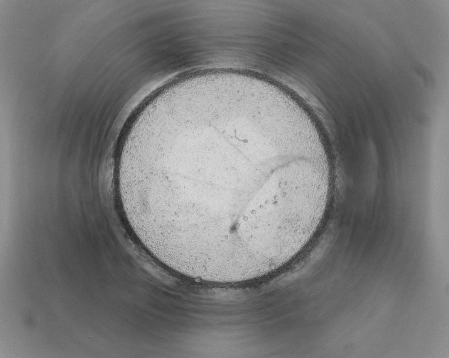 X0000111940933200909071257