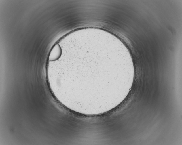 X0000111940936200909071257