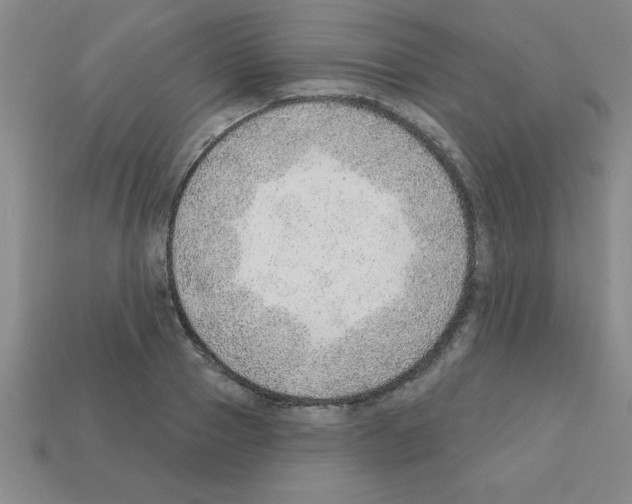 X0000111940937200909071257