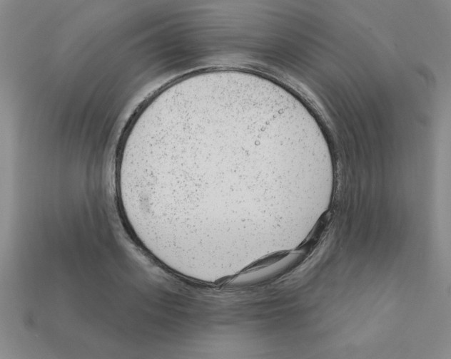 X0000111940939200909071257