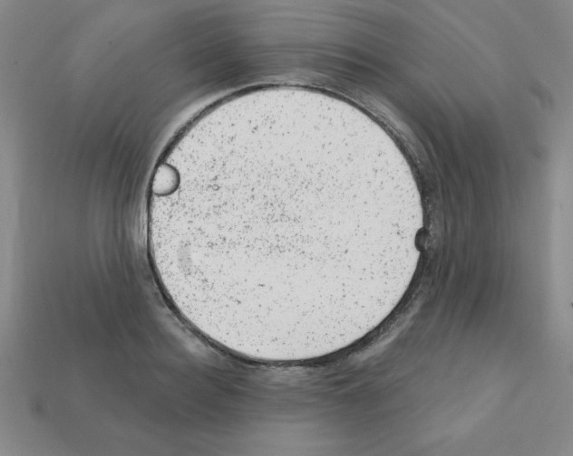 X0000111940940200909071257
