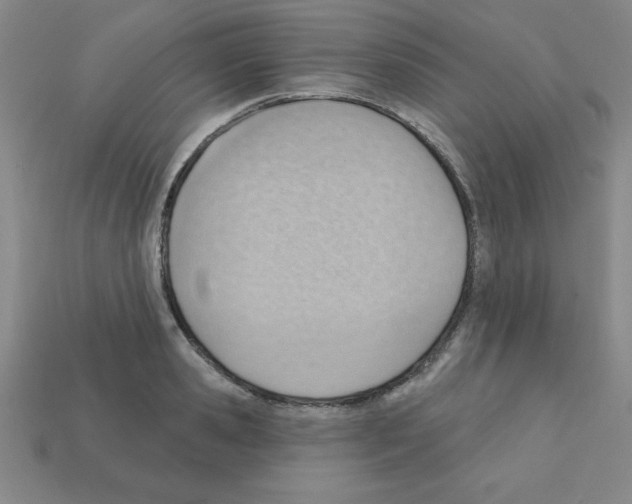 X0000111940941200909071257