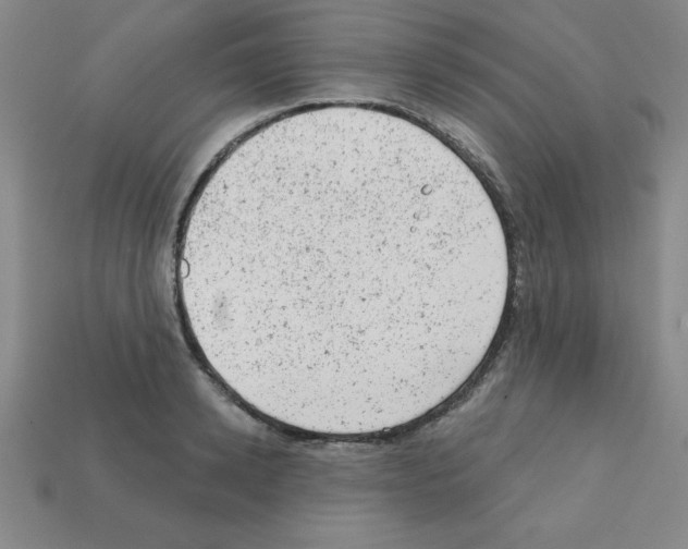 X0000111940942200909071257