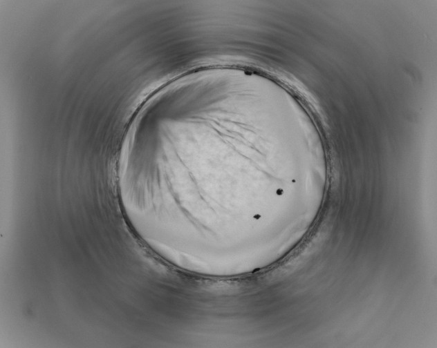 X0000111940945200909071257
