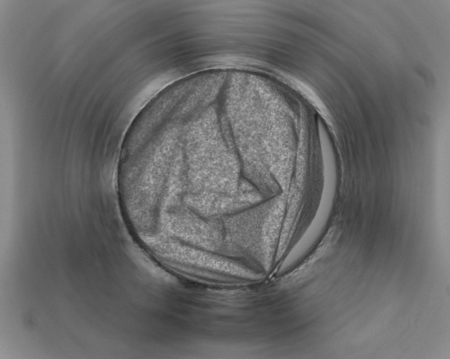 X0000111940946200909071257