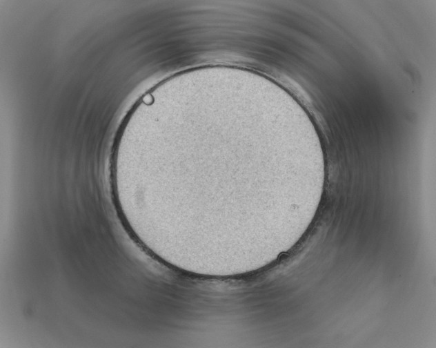 X0000111940947200909071257
