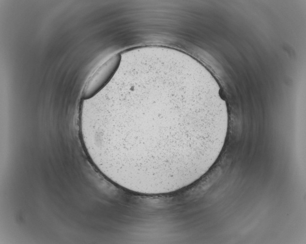 X0000111940948200909071257