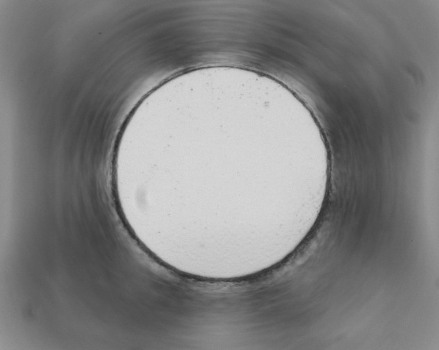 X0000111940949200909071257
