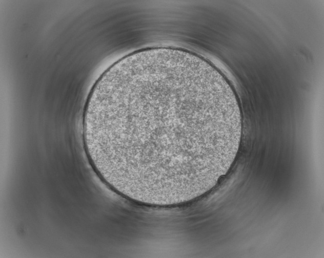 X0000111940951200909071257